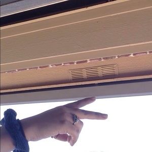 Meet your Posher, Teddy